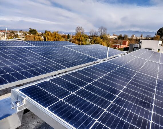 WhatsApp Image 2022-06-04 at 1.14.59 PM